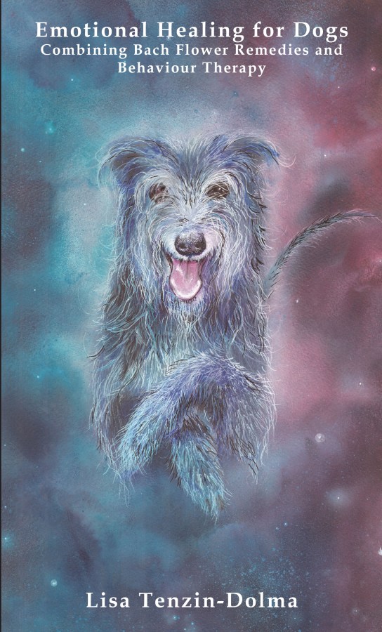 Emotional Healing For&nbsp;Dogs